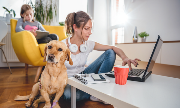 LTE Connectivity Solutions for Work-From-Home
